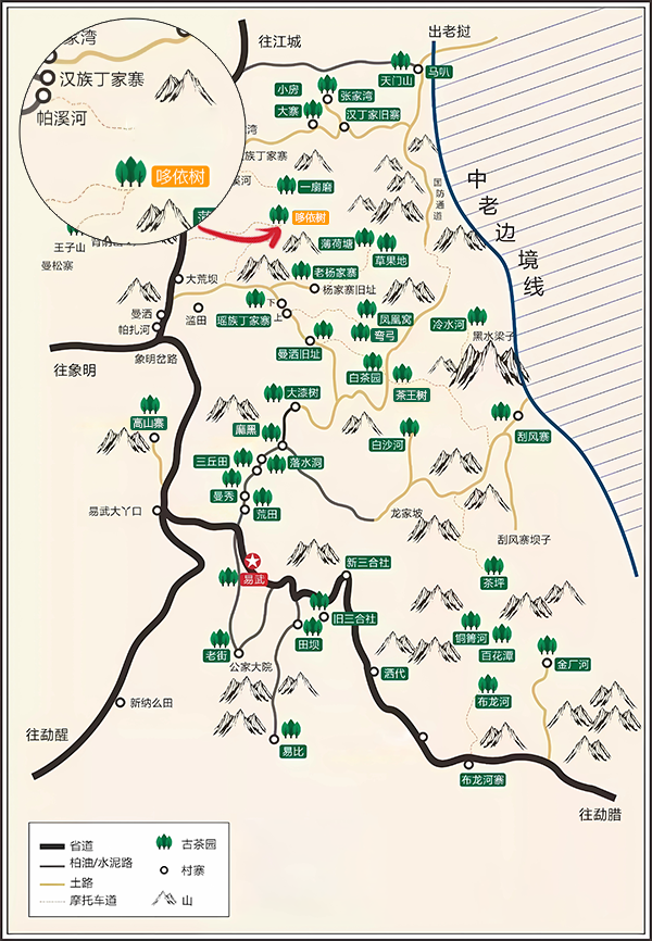 哆依树古茶园